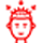 saç ekim icon-2